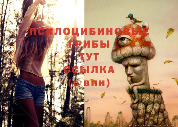 амф Баксан