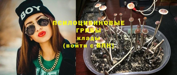 ешки Балахна